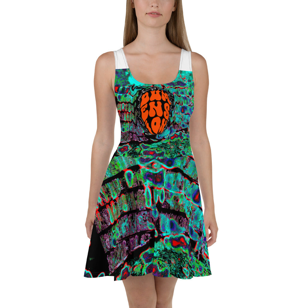 Big Frequency Skater Dress