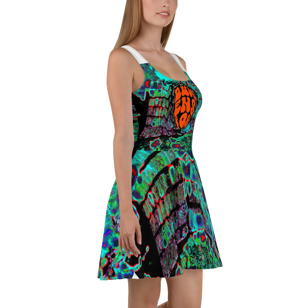 Big Frequency Skater Dress